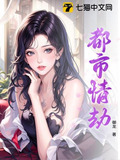 都市情劫小说